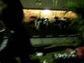 videos de 044 Video-Suasana Malam