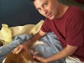 My Dog gives birth!!! My Dog gives birth!!!