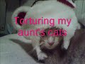 About Me [part deux]
