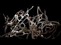 PLANETARIUM OF THE SOUL, ANIMATION BY CLEMENS HABICHT, MUSIC BY CLINIC, WWW.CLINICVOOT.ORG