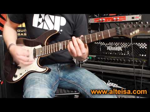 ESP Ltd Elite ST-1 Demo ( The Wicker Man Cover )