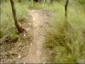 Downhill Mount Tamborine