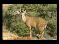 Video Patagonia sin Represas (Parte 1)