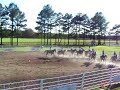 SGHA Show Apr 13 The Palmetto Posse Rides Again