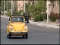 videos de Madi's First Bug Trip