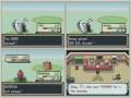 Let-s-race-pokemon-L