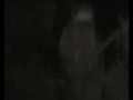 Huuhkaja (Bubo bubo) Huuhkaja (Bubo bubo)