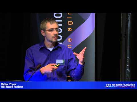 how to isolate mitochondrial dna