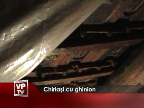 Chiriaşi cu ghinion
