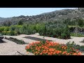 Carmel Valley Ranch Organic Garden