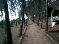 MTDC Resort Tarkarli, Konkan, Maharashtra - India Travel & Tours Video