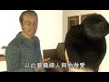 泛藍新黨志工迷姦 「隨叫隨到」婦淪性奴10年 竟又栽贓鑽石失竊