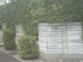 Very-Pretty-Japanese-Garden-in-Tsurugaoka-Nobeoka-Miyazaki