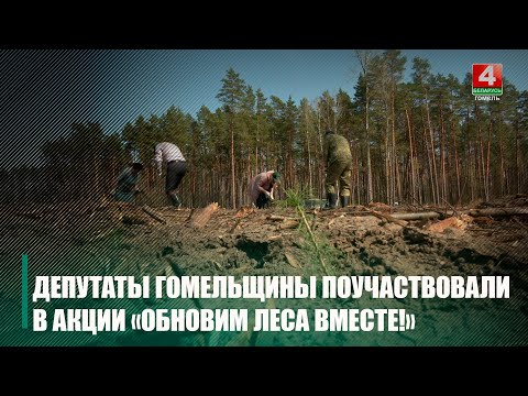 Депутаты Гомельщины присоединились к республиканской акции «Восстановим леса вместе» видео