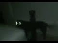 BlackBerry Curve video - lights out, flash on BlackBerry Curve video - lights out, flash on
