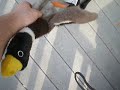 DOG! vs. DUCK!, Part 3