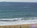 Shelly Beach (Central Coast) NSW