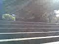 Skate 6