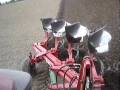 ORKA 2008 - CASE MXU 110 +IBIS VARIO 4XXLS