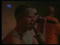 cuba   la charanga habanera   papines   musica cubana