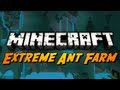 Extreme Ant Farm Survival - Ep. 1 - Better Than Expected!