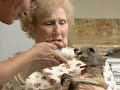 Baby 'Roo Delights Seniors