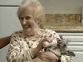 Baby 'Roo Delights Seniors