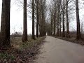 Wiebe apporte
