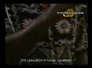 Fiji Vacations, Fiji Honeymoon Vacations, Fiji Hotels, videos