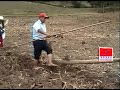 Cajamarquino