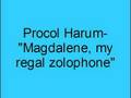 Procol Harum- Magdalene, my regal zonophone