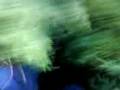 videos de sami le magicien