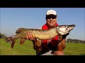 Snoek van 100 cm, met dank aan Ribolov.
Zie ook: http://www.topvisser.nl/verhalen/2011/10/1/alle-hoop-vervuld/