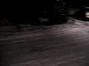 Belgravia Sledding