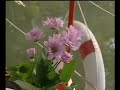 les anges vous convient � une aventure fluviale sur le canal du midi...