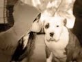 Fine Art Pet Photography by Ariel Payopay Fine Art Pet Photography by Ariel Payopay