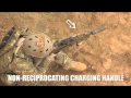 Remington ACR SHOT Show Vid - LEAKED!!