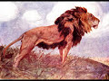 L'ORA DEL CAMPARI - Crivel