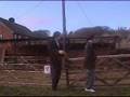 Tribute Boys - My Lovely Horse