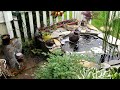 Click here to watch this video Koi Pond Redo