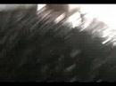 SANGRE ABORIGEN -  LATINO EN VIVO