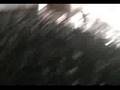 SANGRE ABORIGEN -  LATINO EN VIVO