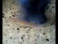 videos de stiffler Castro 2008