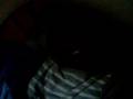 DANtE HOUz.......