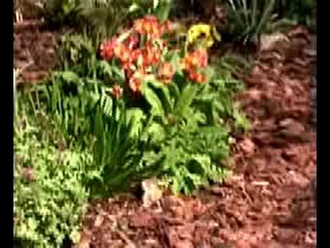 Other Peoples Gardens, Woodchippings