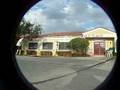 videos de skate