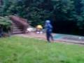 videos de lots more bushdiving