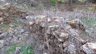 ابن القدس في القرى المهجرة - قرية لوبية - كفاح زريقي ابن القدس في القرى المهجرة - قرية لوبية - كفاح زريقي