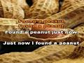Found A Peanut