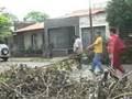 videos de Limpiieza de calles  por funcionarios de la comuna